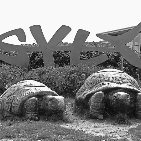 Nordlicht * Westerland